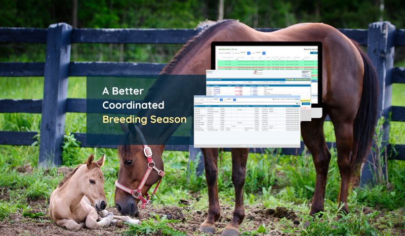 A better coordinated breeding season