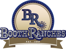 Logo6
