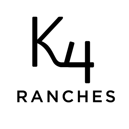 Logo9