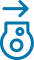 embryo