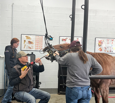 A veterinarian in teal scrubs gently holds and pets a brown horse
