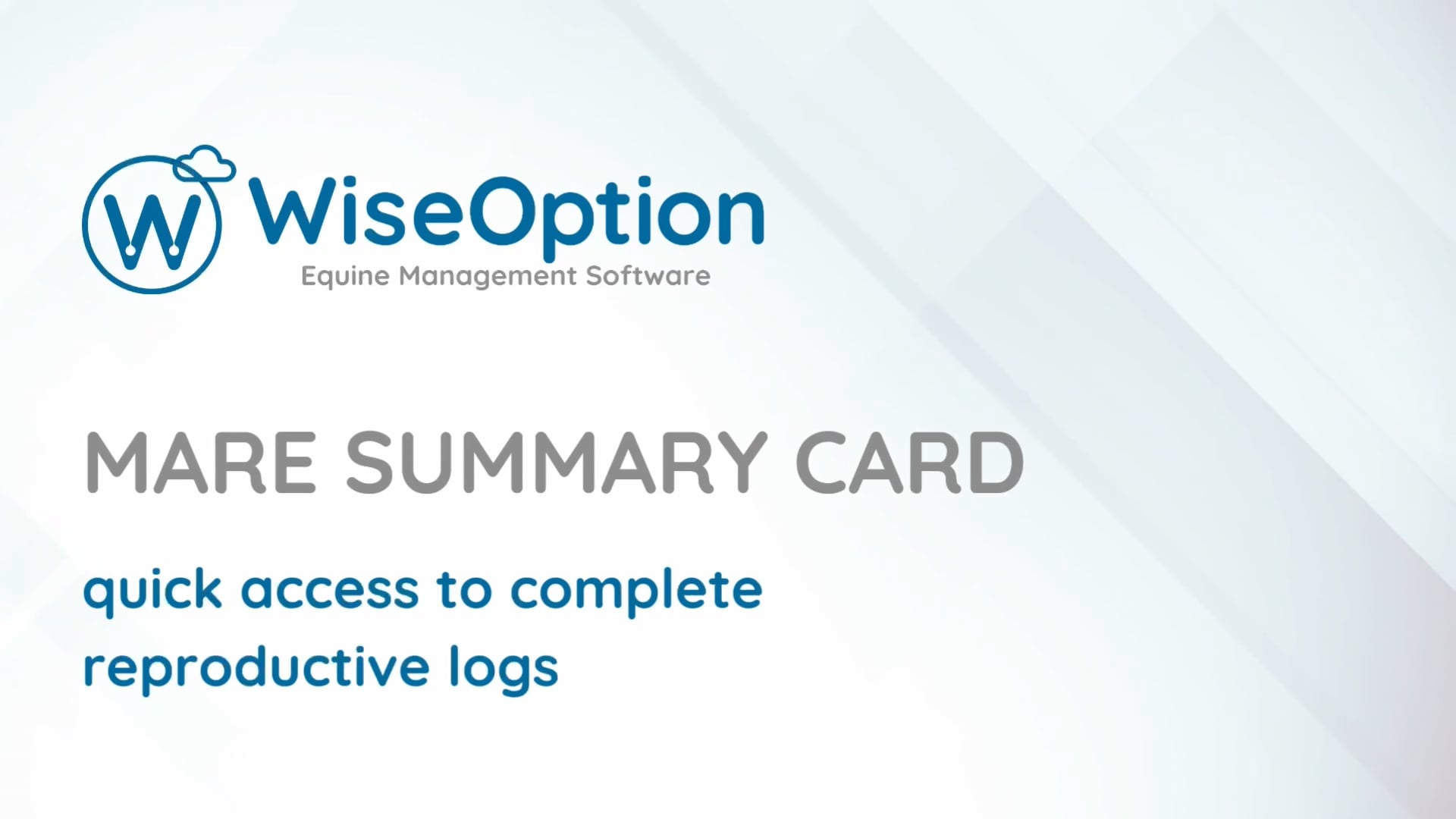 Summary Card
