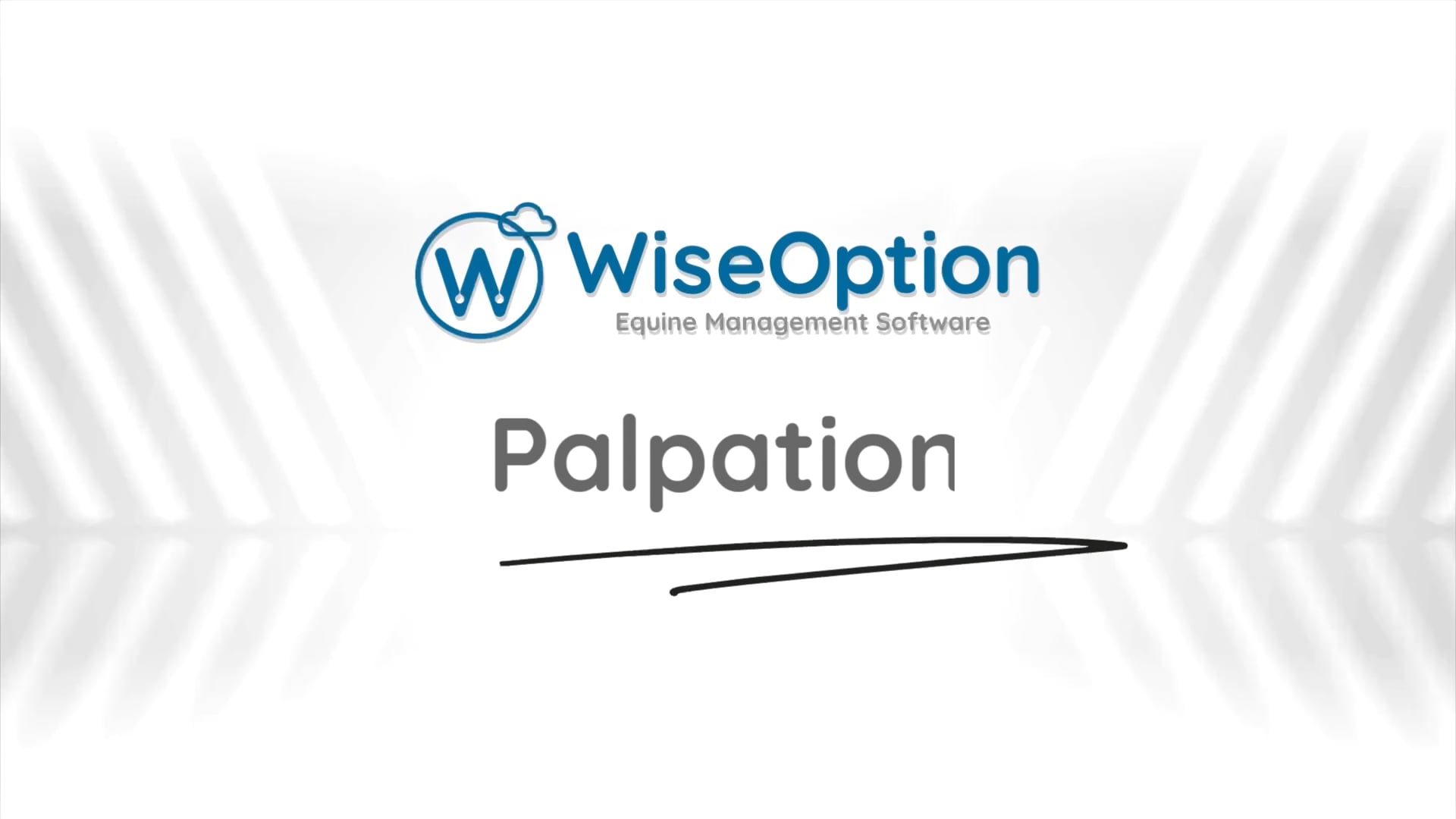 Palpation Priority