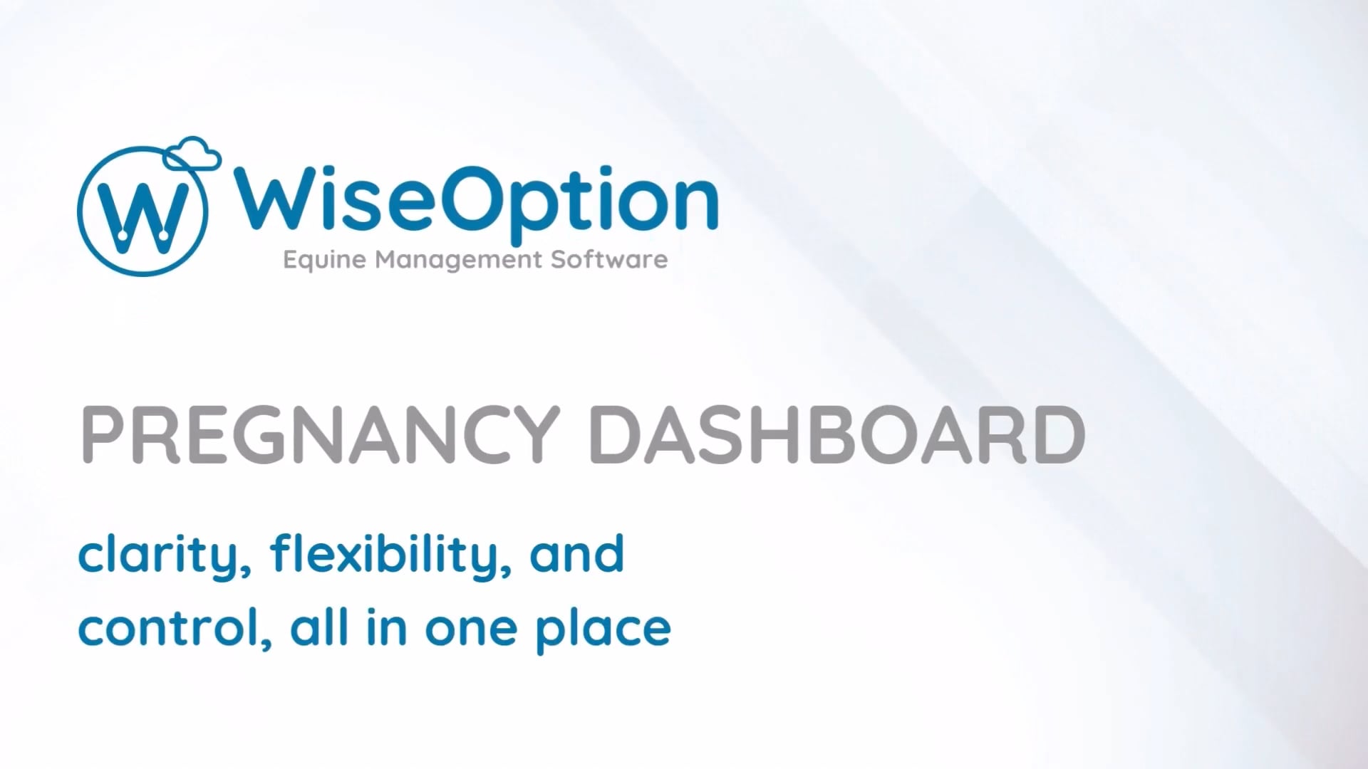 Pregnancy Dashboard