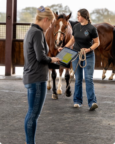 horse-img
