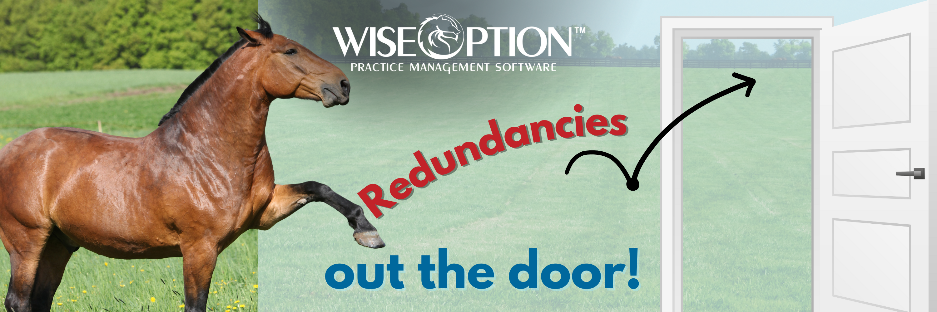 Redundancies out the door with Wise Option