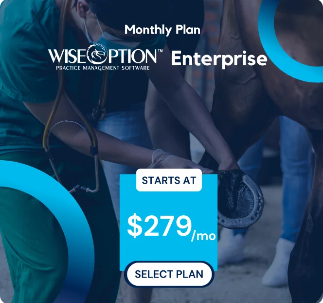 Wise Option Enterprise Plan Pricing